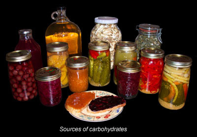 Sources of carbohydrates