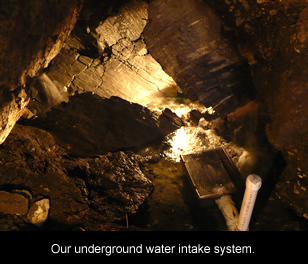Water Intake System