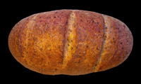 Sunshine Organic Sourdough Bread